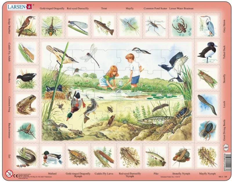 Puzzle Cadre - Apprendre l'Anglais : L'Etang (en Anglais)