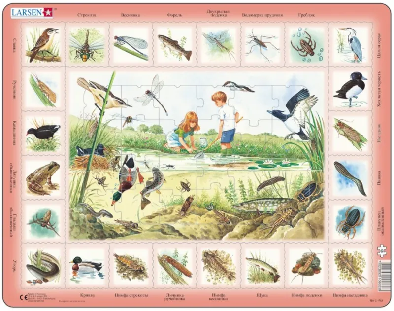 Puzzle Cadre - Animaux de l'Étang (en Russe)