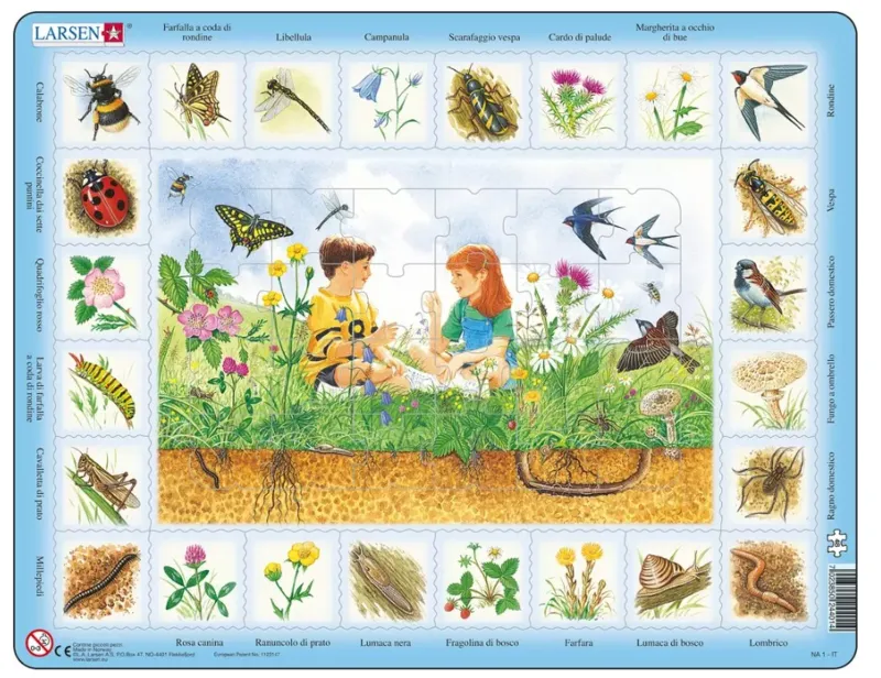 Puzzle Cadre - Farfalla a coda di rondine