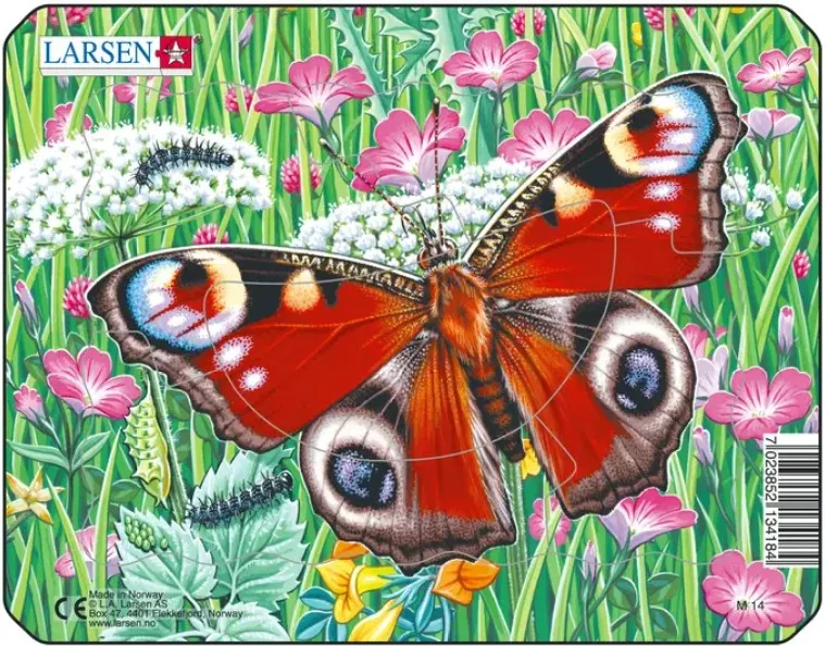 Puzzle Cadre - Papillon