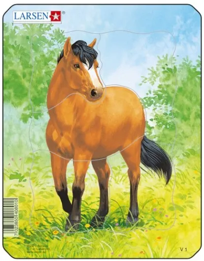 Puzzle Cadre - Cheval