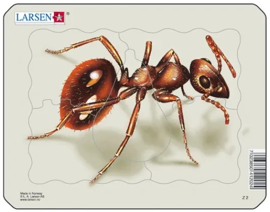 Puzzle Cadre - Fourmi