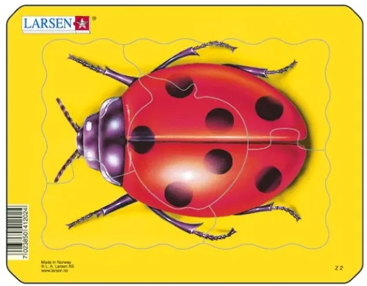 Puzzle Cadre - Coccinelle