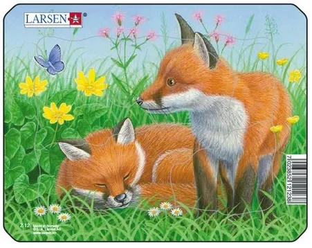 Puzzle Cadre - Renard