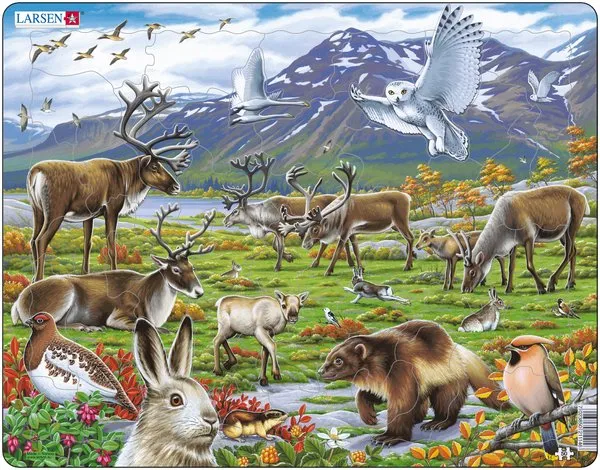Puzzle Cadre - Les Animaux de Laponie