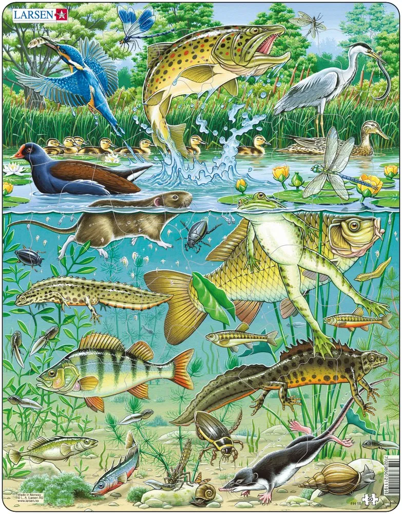 Puzzle Cadre - Les Animaux de l'Etang