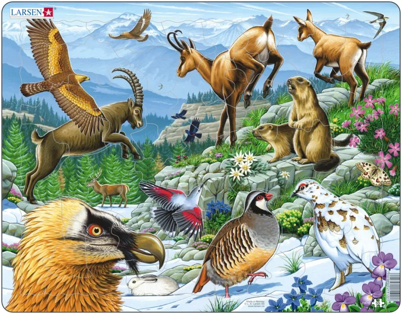 Puzzle Cadre - Les Animaux de la Montagne