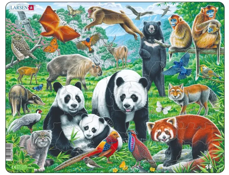 Puzzle Cadre - Panda Bear Family on a China Mountain Plateau