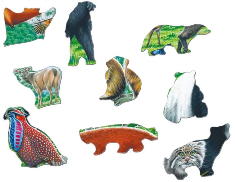 Puzzle Cadre - Panda Bear Family on a China Mountain Plateau