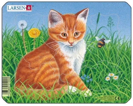 Puzzle Cadre - Chaton