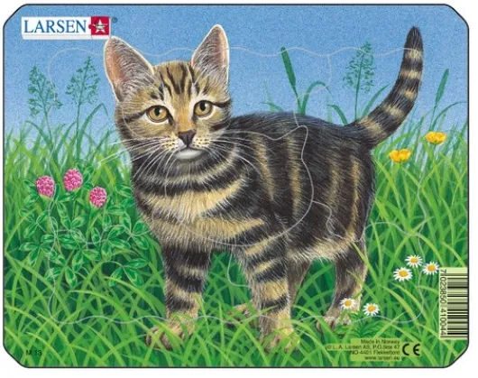 Puzzle Cadre - Chaton