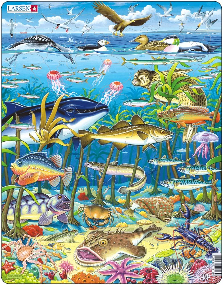 Puzzle Cadre - Les Animaux Marins