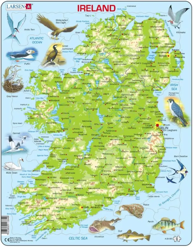 Puzzle Cadre - Carte Topographique de l'Irlande (Anglais)