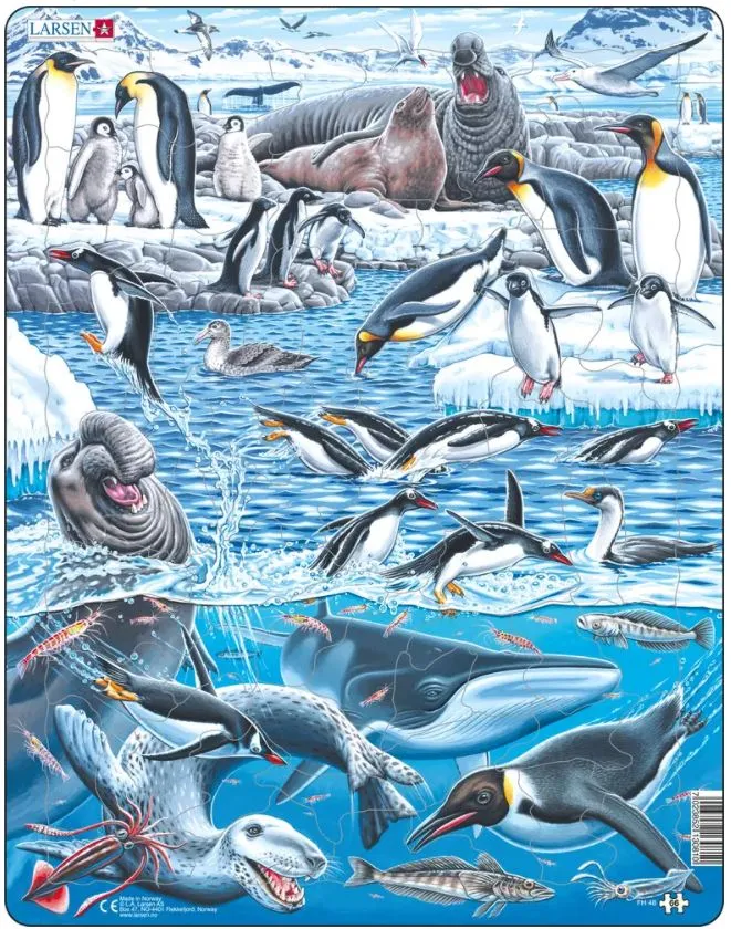 Puzzle Cadre - The Cold and Beautiful Antarctica