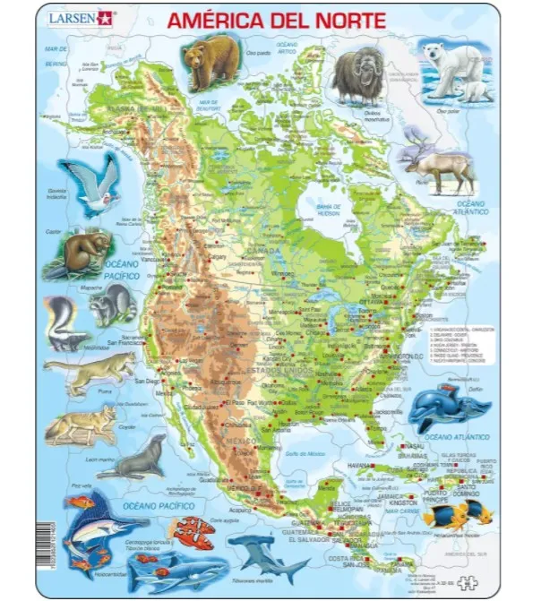 Puzzle Cadre - América del Norte
