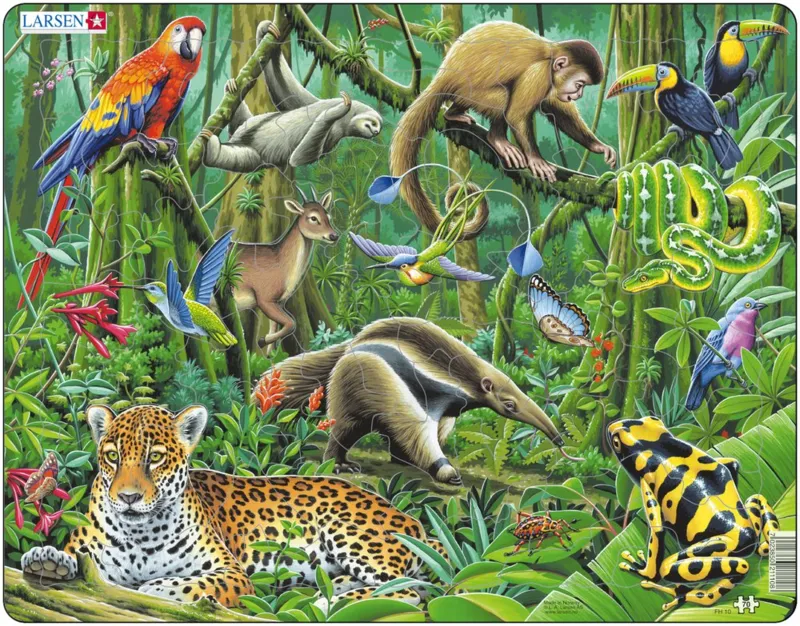 Puzzle Cadre - Les Animaux de la Forêt Tropicale