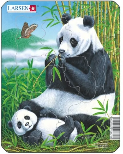 Puzzle Cadre - Pandas