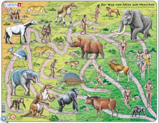 Puzzle Cadre - Evolution du Singe à l'Homme (en Allemand)