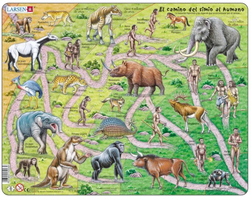 Puzzle Cadre - El Camino del Simio al Humano (en Espagnol)