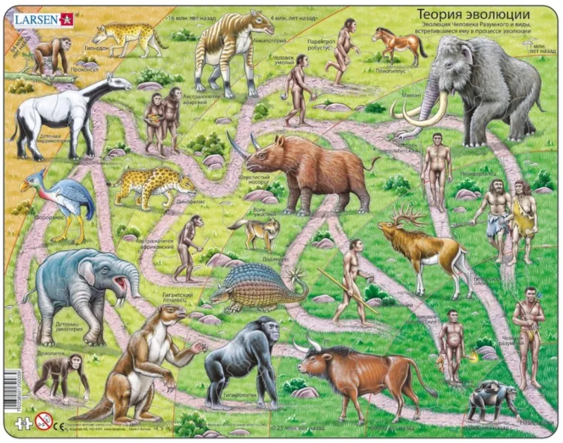 Puzzle Cadre - L'Evolution Humaine (en Russe)