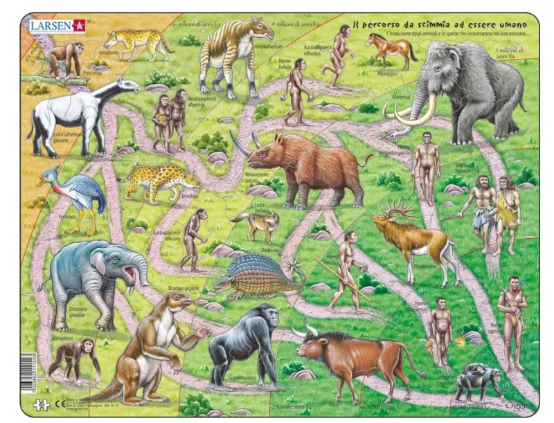 Puzzle Cadre - Il percorso da scimmia ad essere umano