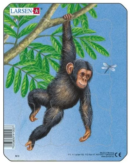 Puzzle Cadre - Petit Singe