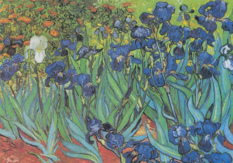 Vincent Van Gogh - Saint-Remy - Les Iris, 1889