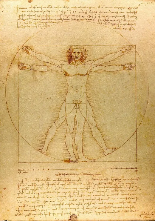 Léonard de Vinci : L'Homme de Vitruve, 1490