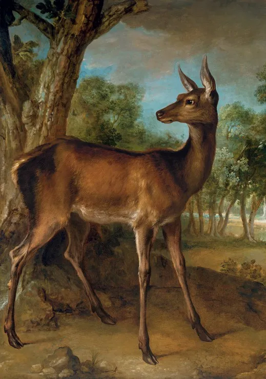 Jean-Baptiste Oudry : Biche aux Augets, 1729