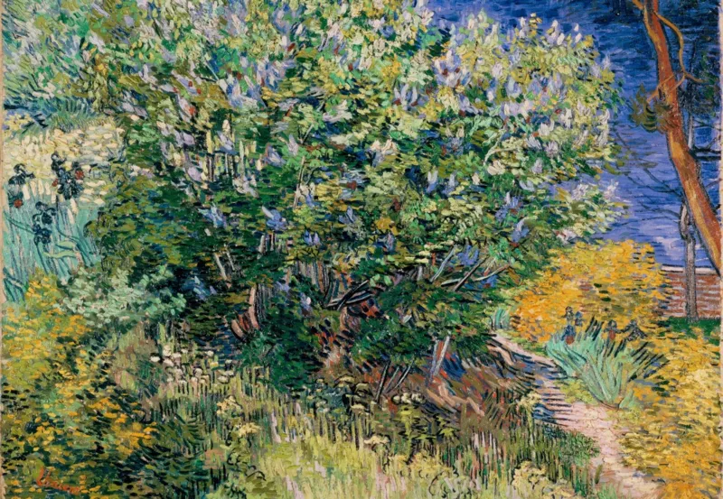 Vincent Van Gogh - Lilas, 1889