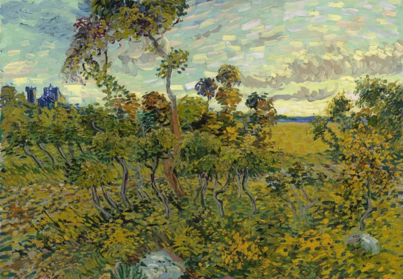 Vincent Van Gogh - Coucher de Soleil à Montmajour, 1888