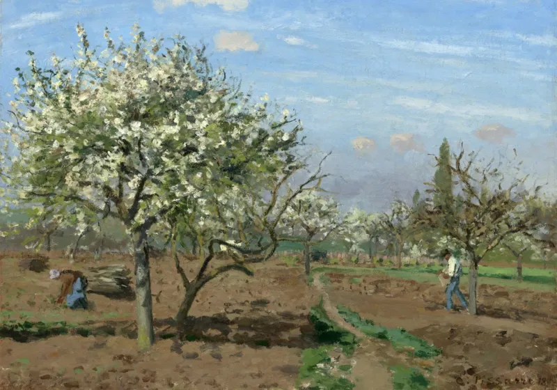 Camille Pissarro : Verger en Fleurs, Louveciennes, 1872