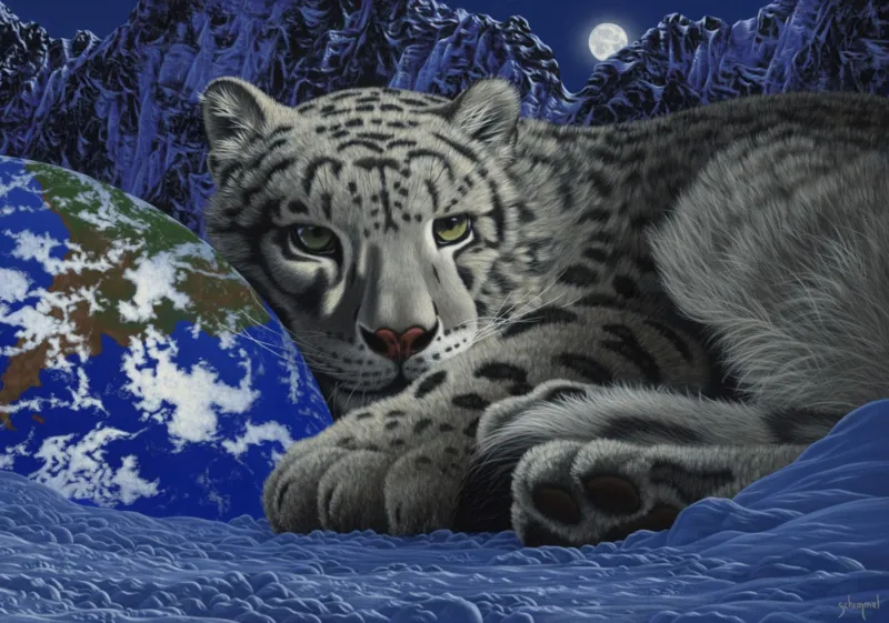 Schim Schimmel - The Warmth of Home