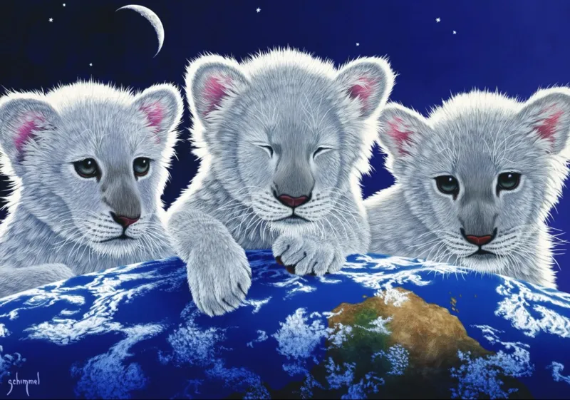 Schim Schimmel - Secret, Mystery and Hope