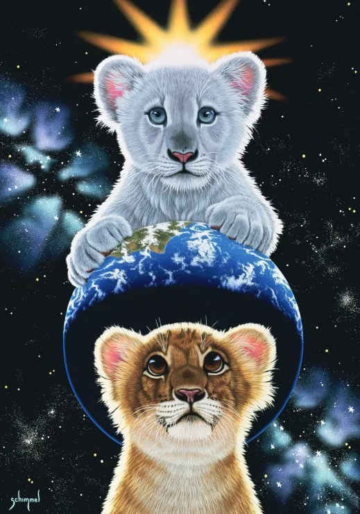 Schim Schimmel - The very few