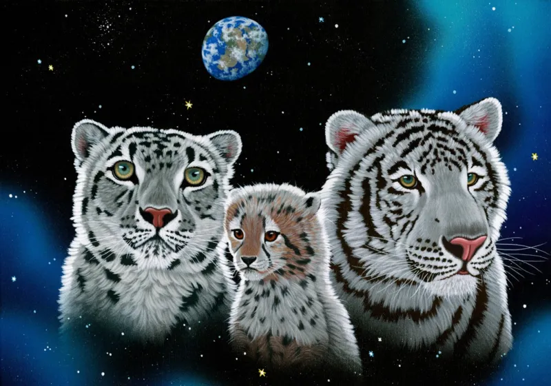 Schim Schimmel - Gentle Family