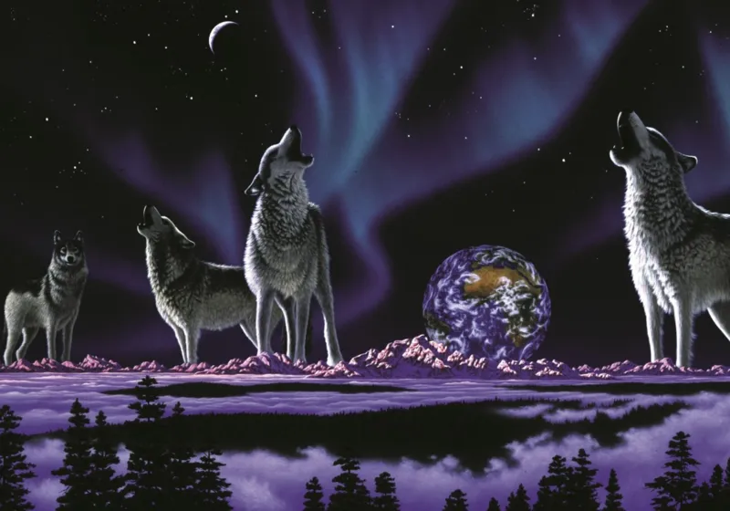 Schim Schimmel - Earth Song