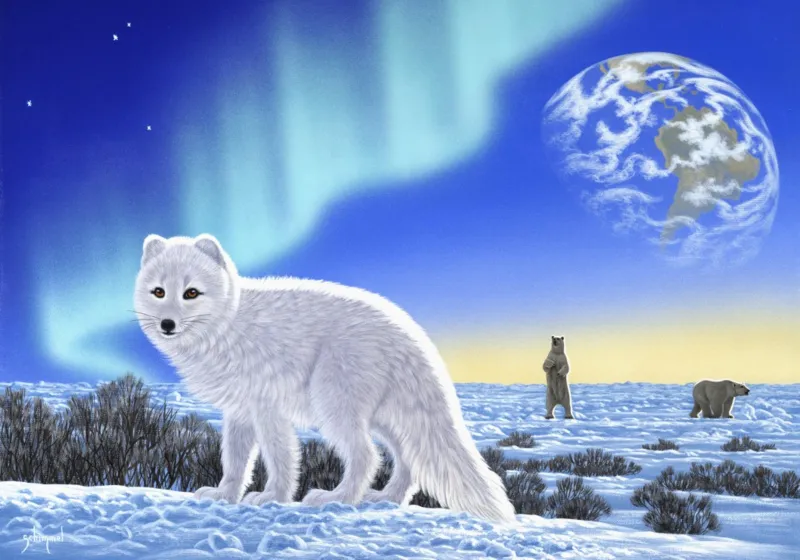 Schim Schimmel - Artic Fox