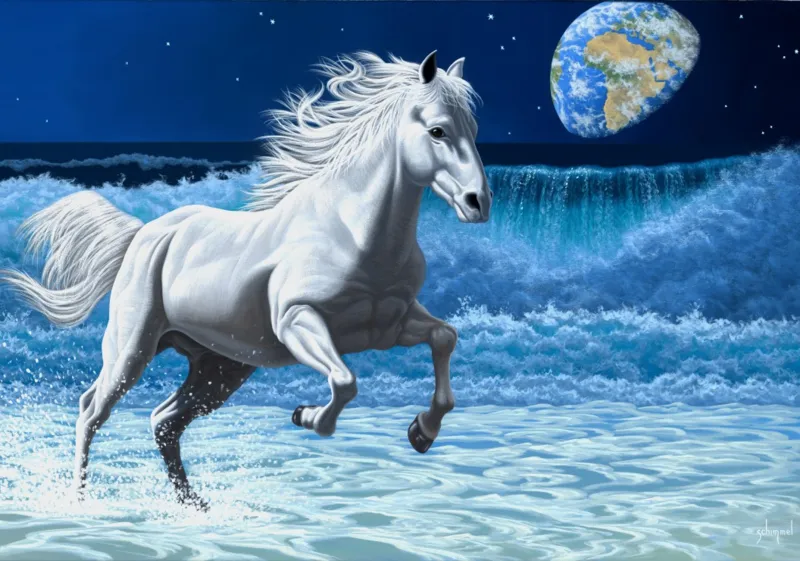 Schim Schimmel - Wave Runner