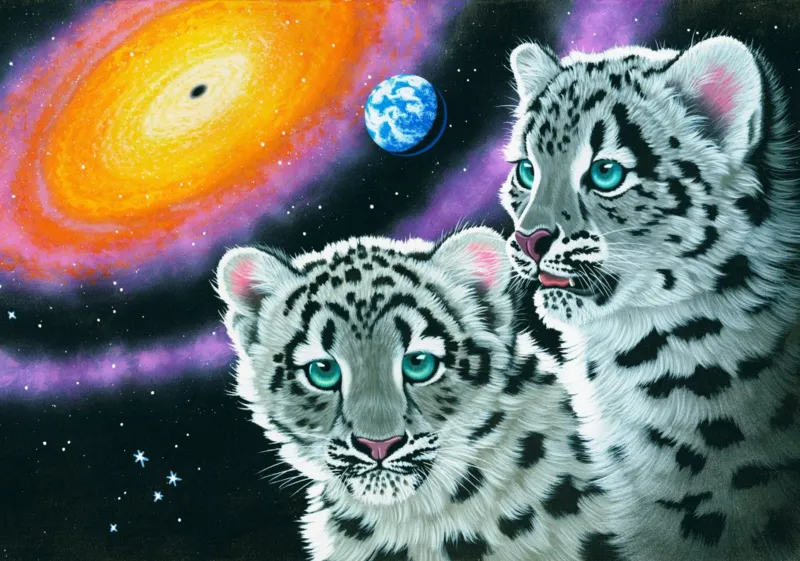 Schim Schimmel - Miracle of the Universe