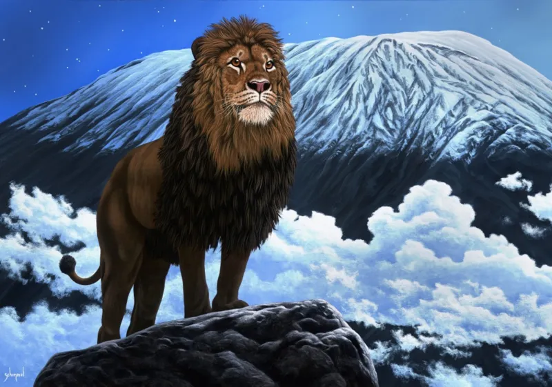 Schim Schimmel - King of Kilimanjaro