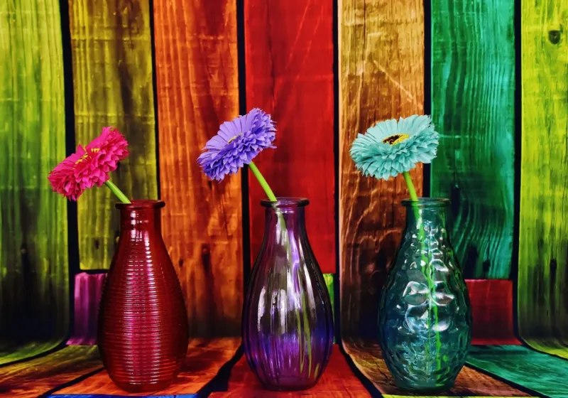 Vases Fleuris et Colorés