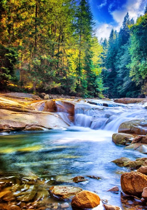 Belle Cascade dans la Forêt