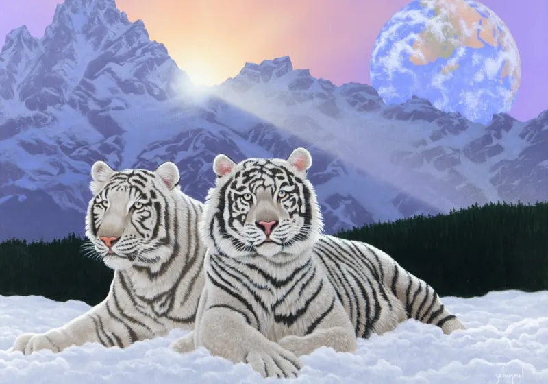 Schim Schimmel - Sharing the Sunrise