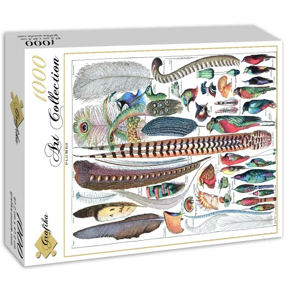 Illustration du Larousse pour Tous : Plumes , 1907-1910