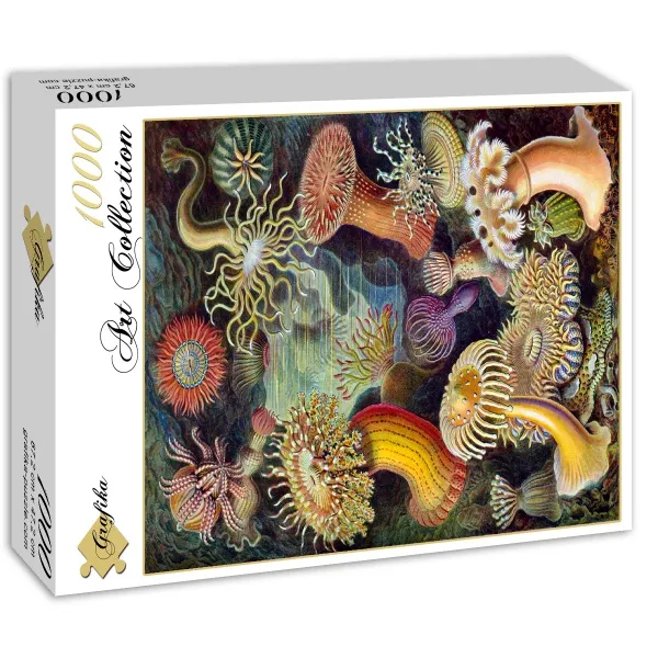 Ernst Haeckel : Anémones de Mer , 1904