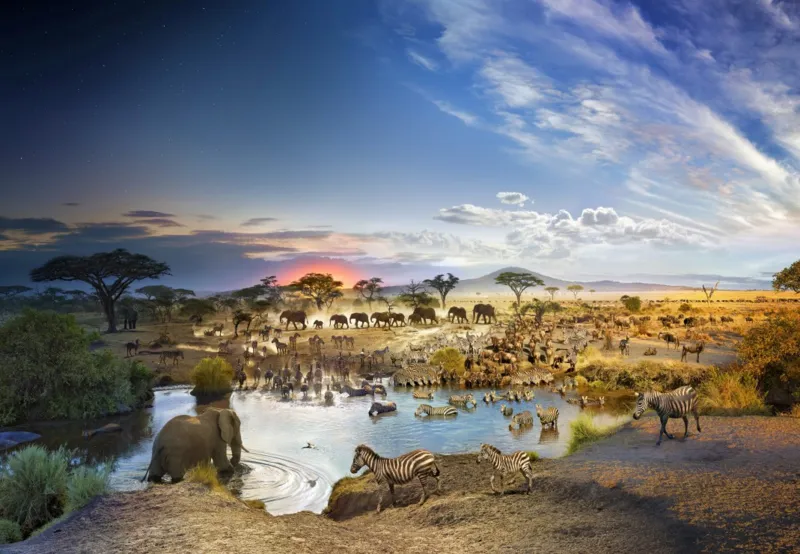 Serengeti National Park, Tanzania, Day to Night TM