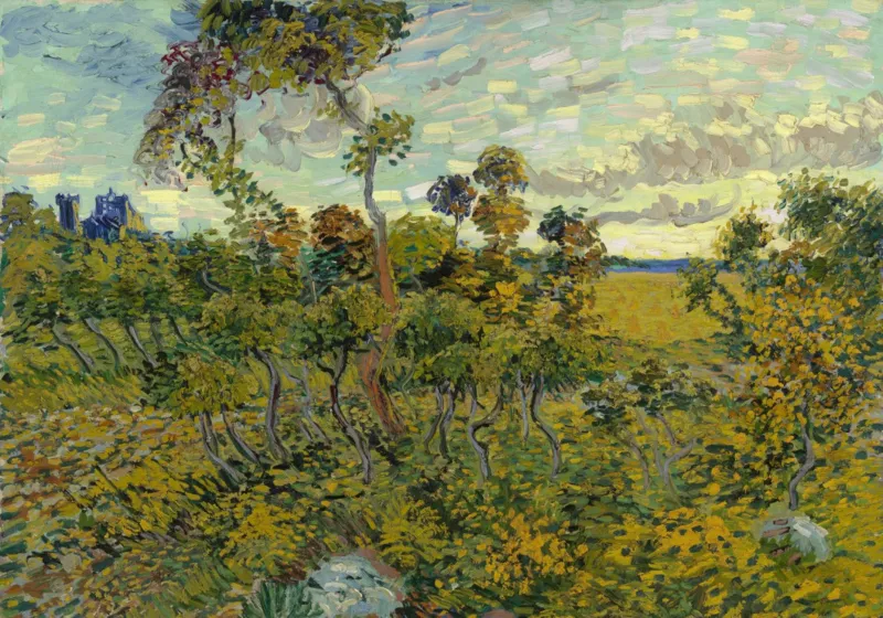 Vincent Van Gogh - Coucher de Soleil à Montmajour, 1888