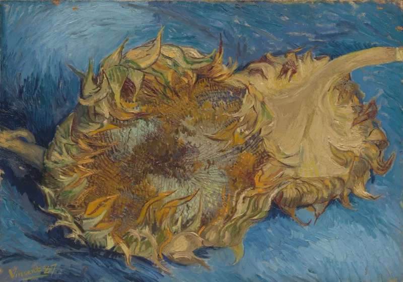 Vincent Van Gogh - Tournesols, 1887