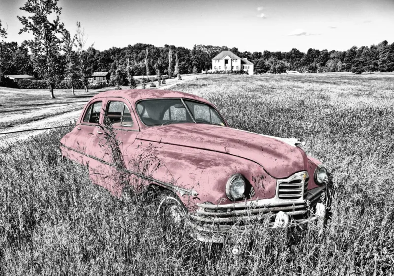 Oldtimer - Rose